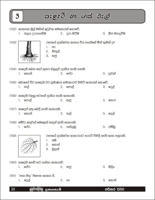 Grade 5 – Parisara 1250 - Image 4